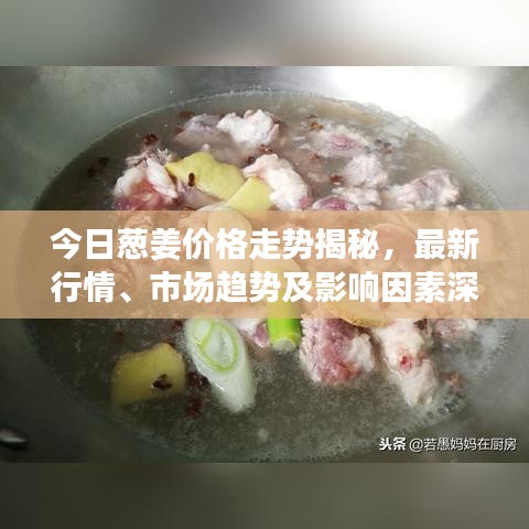今日葱姜价格走势揭秘，最新行情、市场趋势及影响因素深度解析