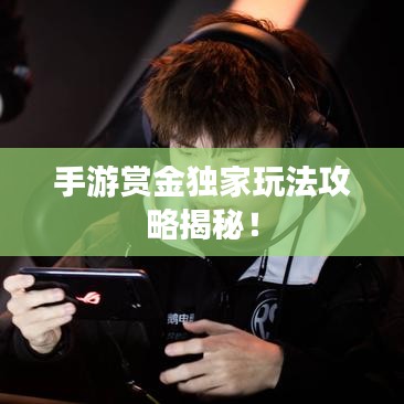 手游赏金独家玩法攻略揭秘！