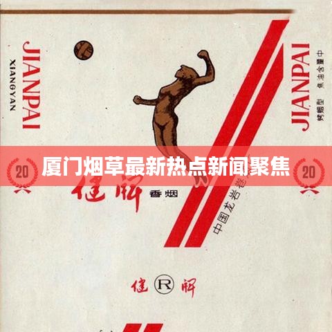 厦门烟草最新热点新闻聚焦