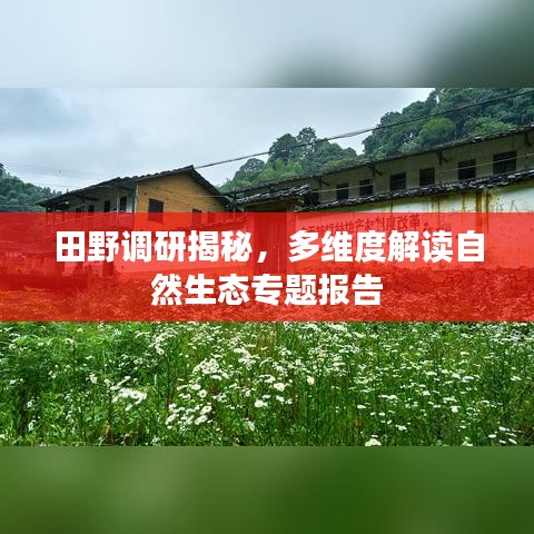 田野调研揭秘，多维度解读自然生态专题报告
