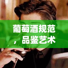 葡萄酒规范，品鉴艺术、礼仪传承与文化深度解读