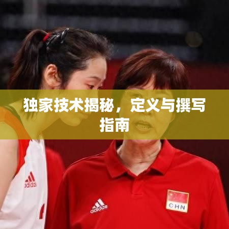 独家技术揭秘，定义与撰写指南