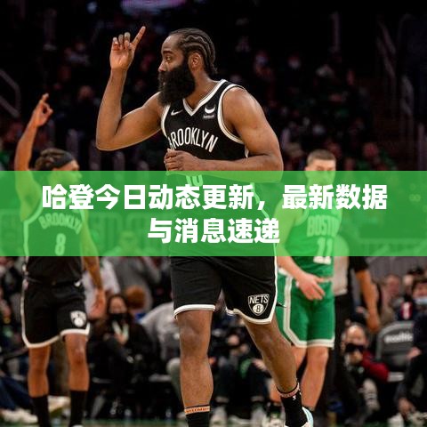 哈登今日动态更新，最新数据与消息速递