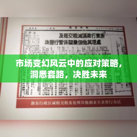 市场变幻风云中的应对策略，洞悉套路，决胜未来