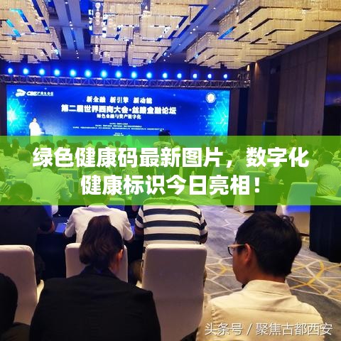 绿色健康码最新图片，数字化健康标识今日亮相！