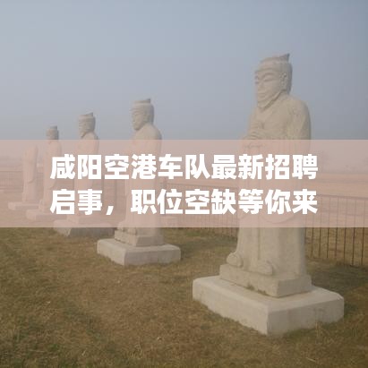 咸阳空港车队最新招聘启事，职位空缺等你来挑战！