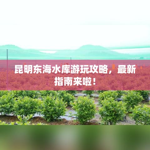 昆明东海水库游玩攻略，最新指南来啦！