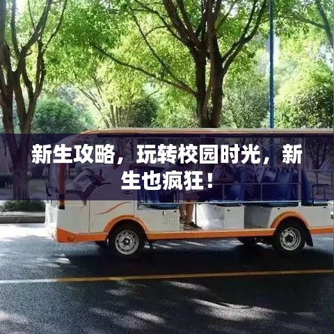 新生攻略，玩转校园时光，新生也疯狂！