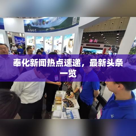 奉化新闻热点速递，最新头条一览