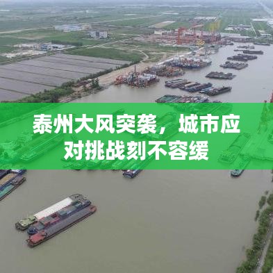 泰州大风突袭，城市应对挑战刻不容缓