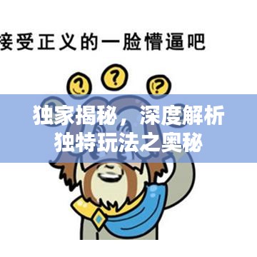 独家揭秘，深度解析独特玩法之奥秘