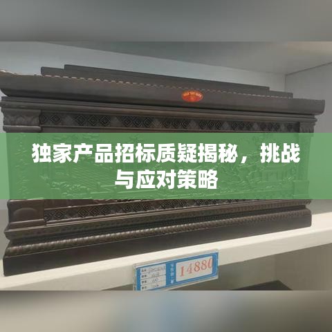独家产品招标质疑揭秘，挑战与应对策略