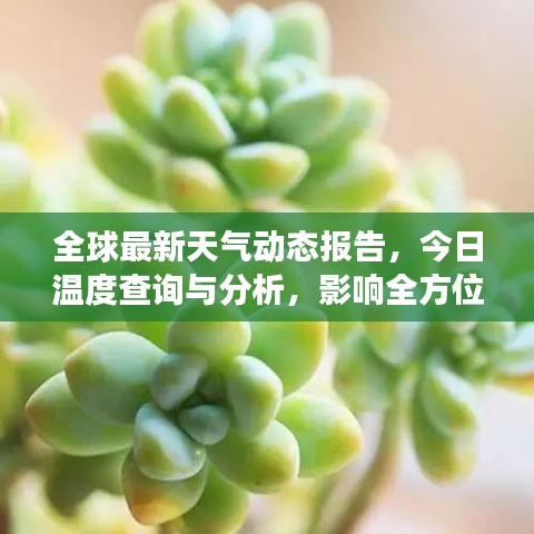 全球最新天气动态报告，今日温度查询与分析，影响全方位解读