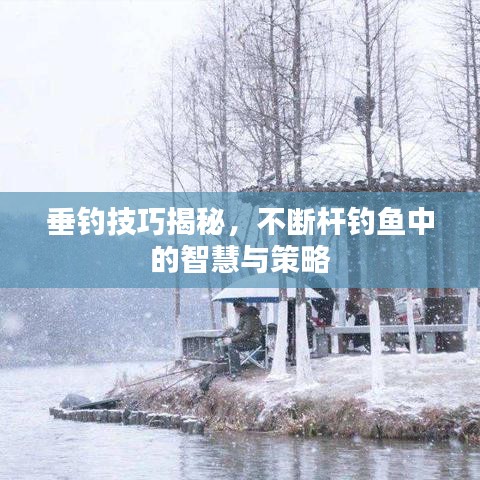垂钓技巧揭秘，不断杆钓鱼中的智慧与策略
