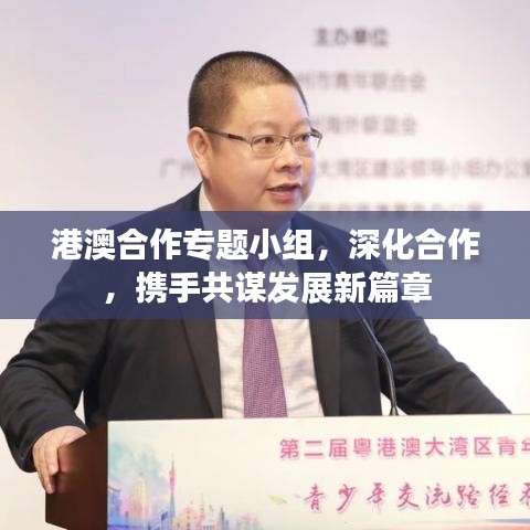 港澳合作专题小组，深化合作，携手共谋发展新篇章