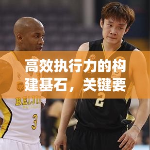 高效执行力的构建基石，关键要素与策略实施