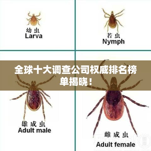 全球十大调查公司权威排名榜单揭晓！