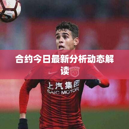 合约今日最新分析动态解读