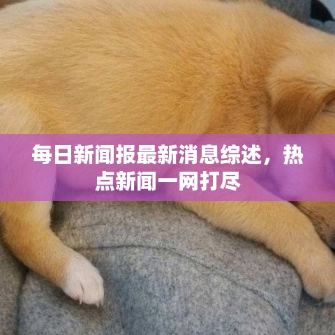 每日新闻报最新消息综述，热点新闻一网打尽